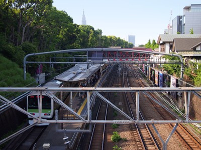 Harajuku station feels like a small town station in the heart of Tokyo