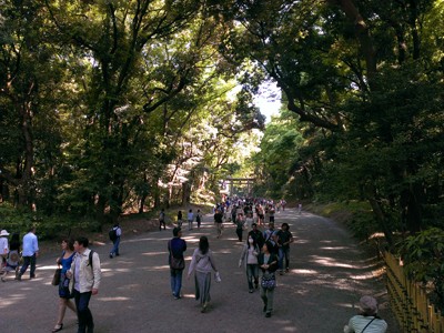 The path leading from the entrance